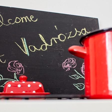 Vadrozsa Vendeghaz Racalmas旅馆 外观 照片